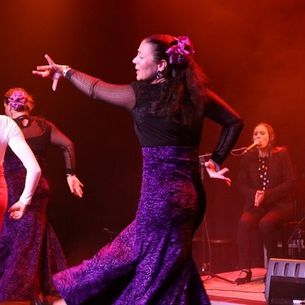 Flamenco optredens