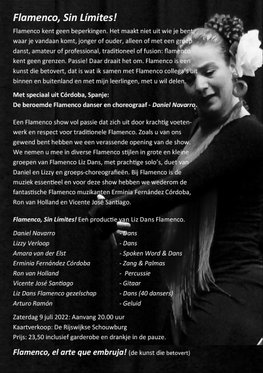 Flamenco show Liz Dans